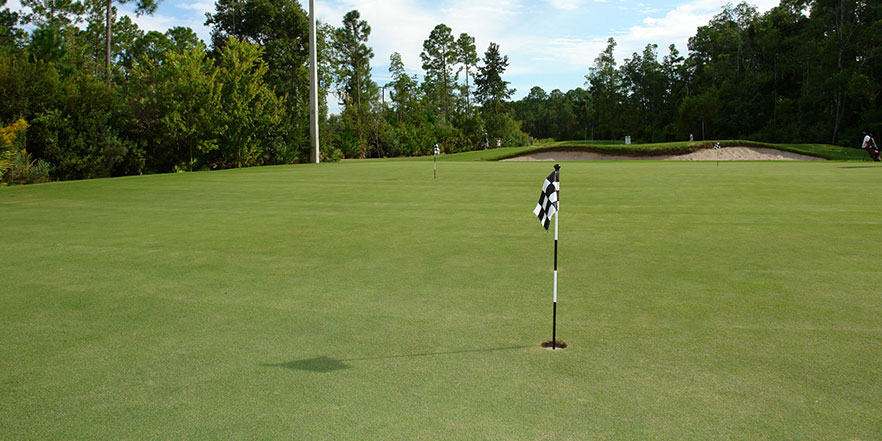 golf-sahaları-için-yapay-çim