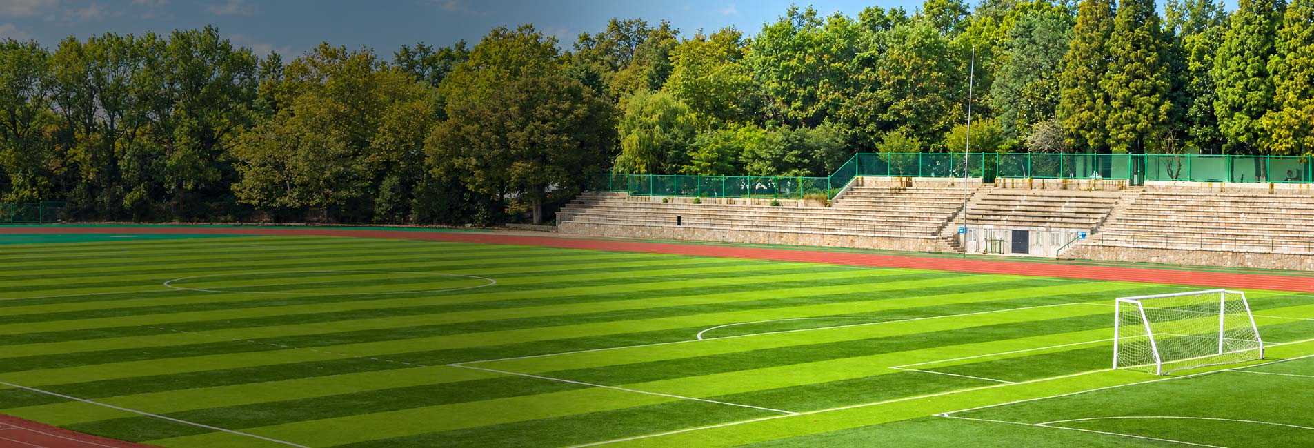 Avengrass ile Dünya Çok Daha Yeşil