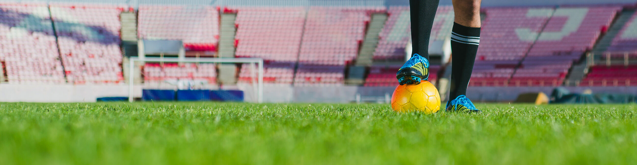 Avengrass ile Dünya Çok Daha Yeşil